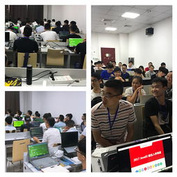 遠方的地平線 黑馬程序員技術交流社區——技術浪潮中的燈塔與港灣